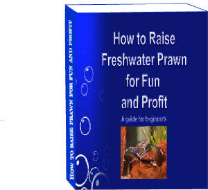 prawnebookcover.jpg