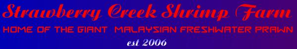 shrimpbanner3.JPG